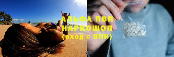 PSILOCYBIN Козельск