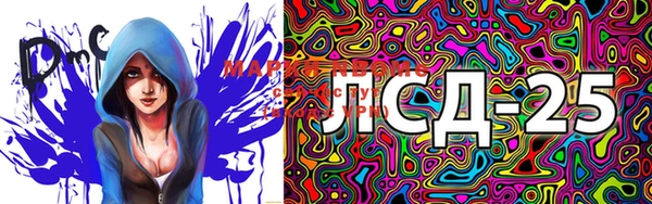 PSILOCYBIN Козельск