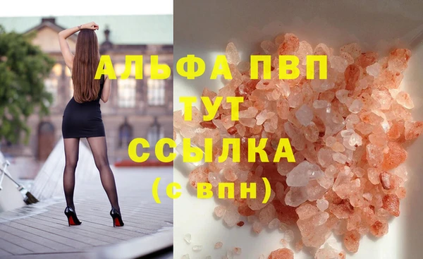 PSILOCYBIN Козельск