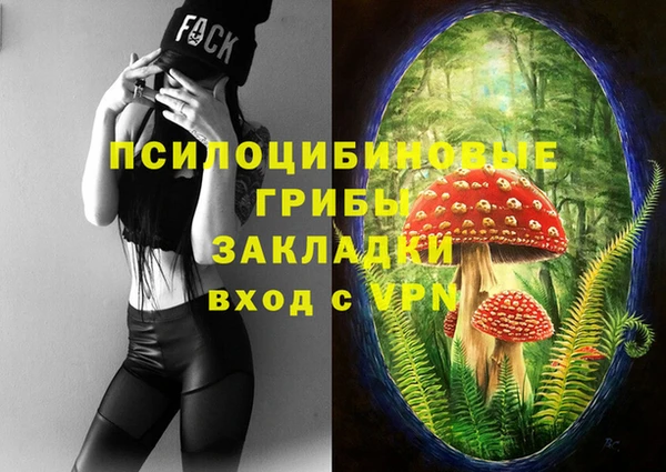 PSILOCYBIN Козельск