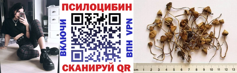 Галлюциногенные грибы прущие грибы  Купить  Белорецк 